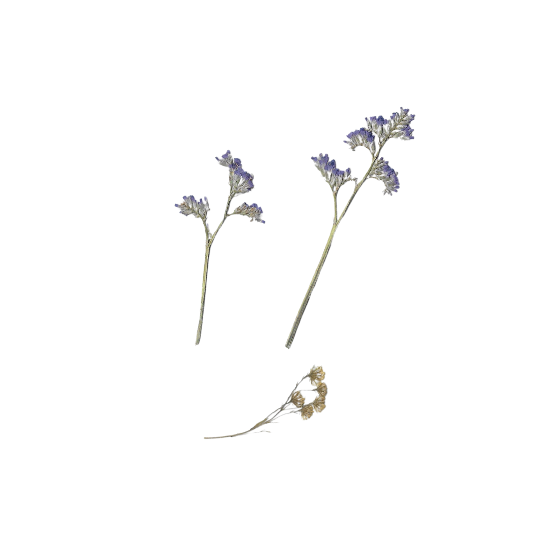 Imatge del projecte archivoamor