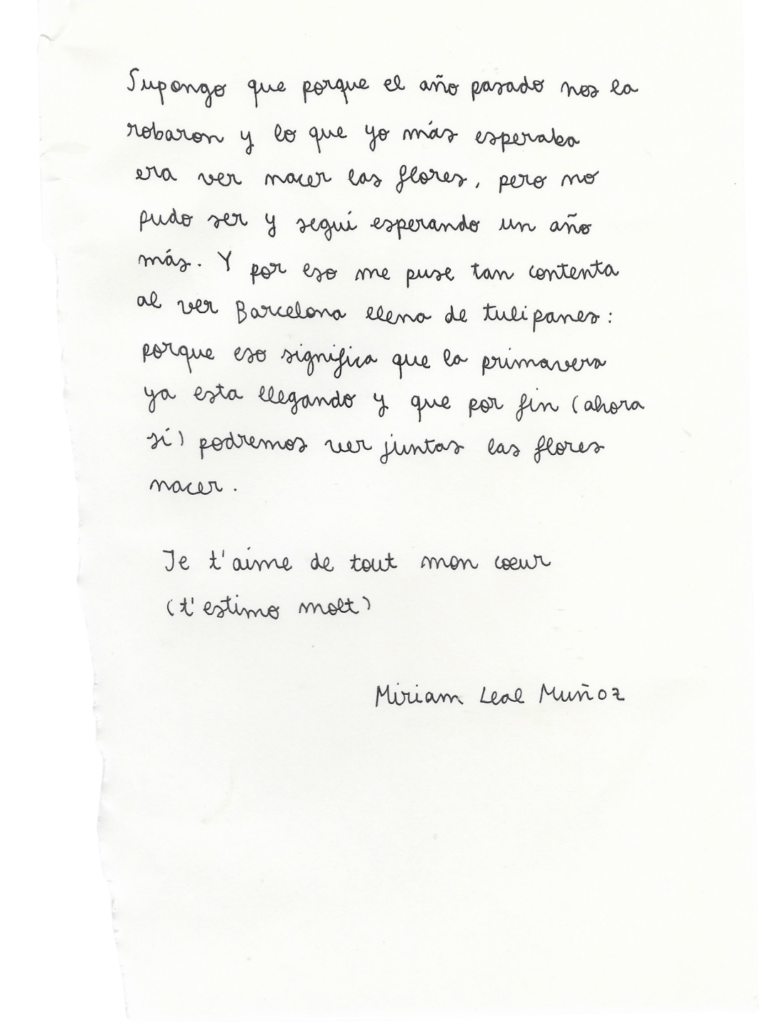 Imatge del projecte Estimat Amor